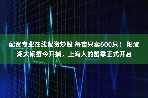 配资专业在线配资炒股 每亩只卖600只！ 阳澄湖大闸蟹今开捕，上海人的蟹季正式开启