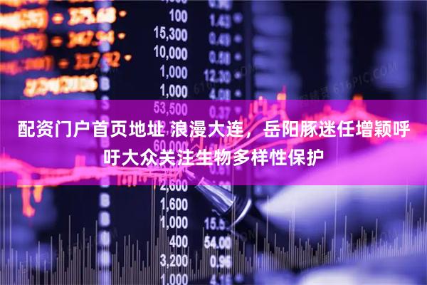 配资门户首页地址 浪漫大连，岳阳豚迷任增颖呼吁大众关注生物多样性保护